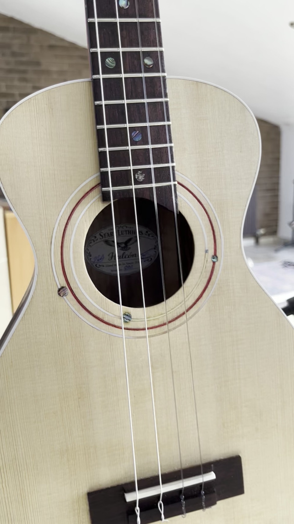 Baritone ukulele, spruce top with zebrawood sides, front view