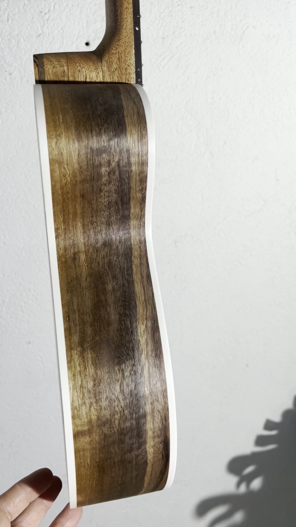 Baritone ukulele side profile showing depth and zebrawood sides
