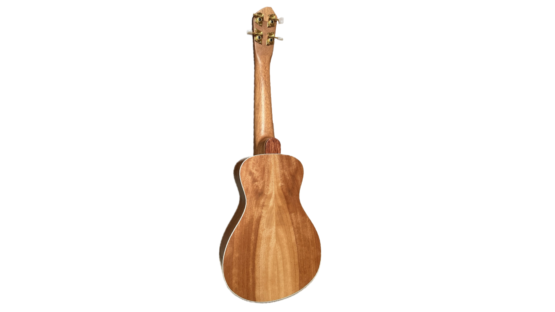 Concert ukulele mahogany back on white background