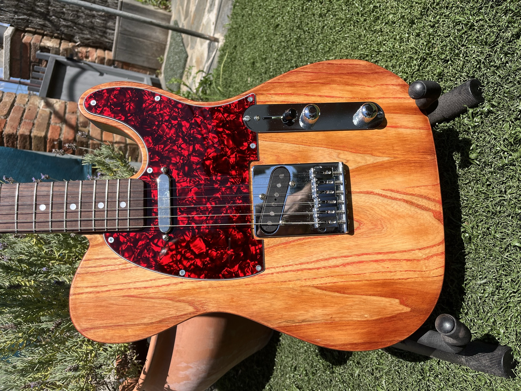 Ash Telecaster body detail with red tortoiseshell pickguard