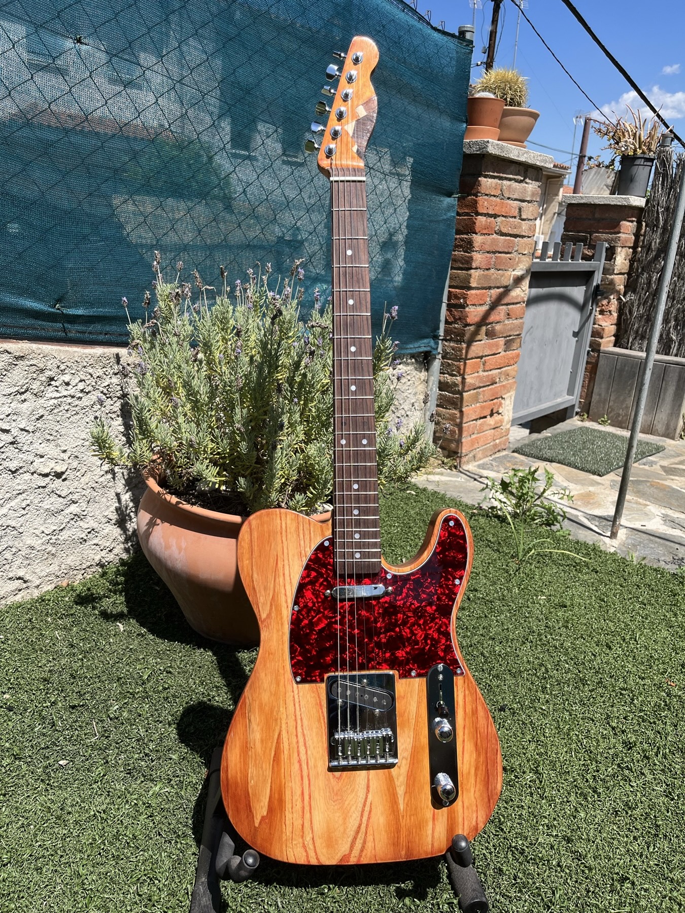 Completed ash Telecaster with red tort pickguard, outdoors