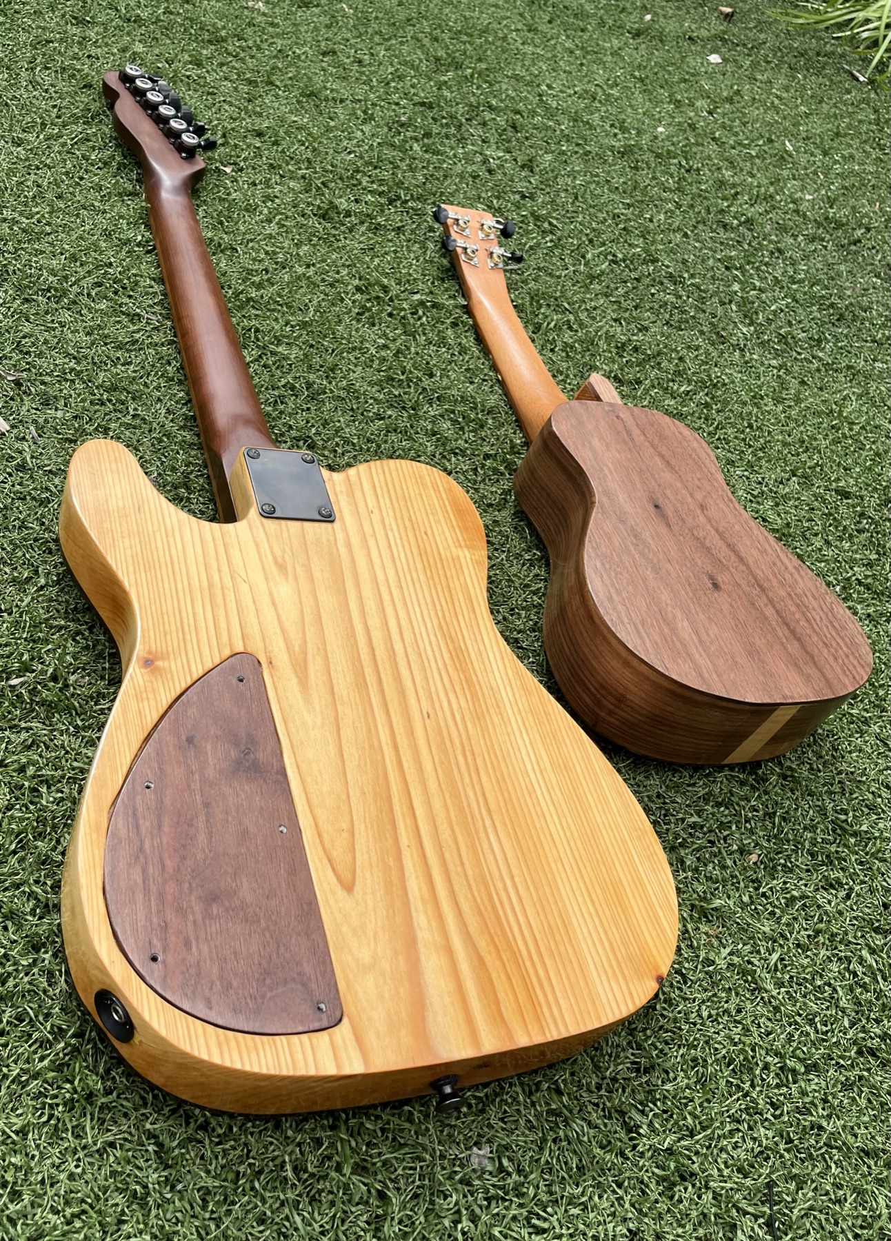Backs of a Telecaster and a ukulele on grass showing contrasting wood grains